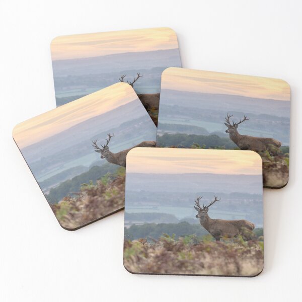 Item preview, Red Deer in Bradgate Park designed and sold by Steve Liptrot Photography.
