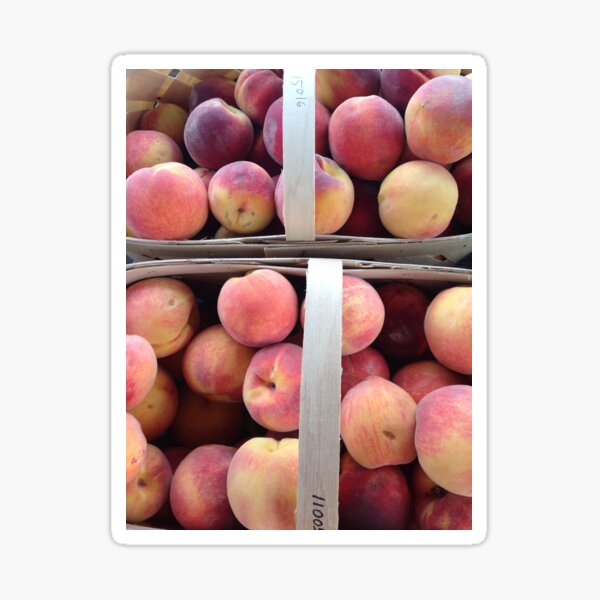 Baskets of Peaches Sticker