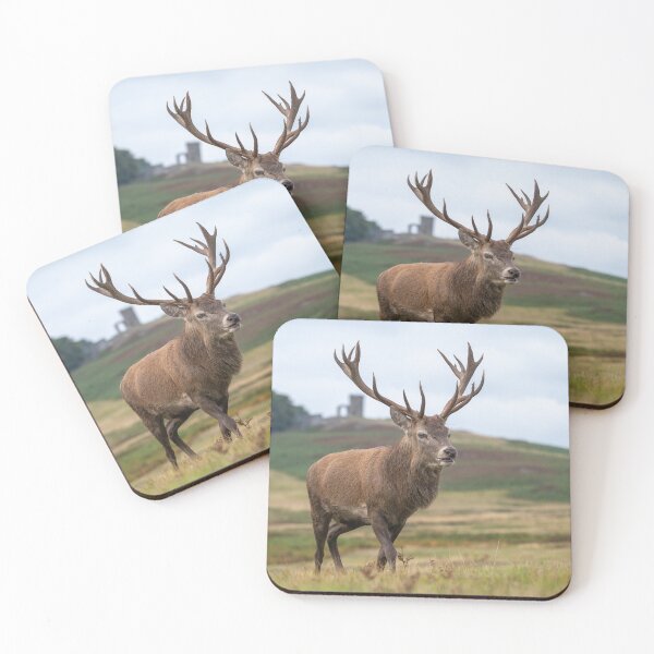 Item preview, Red Deer in Bradgate Park designed and sold by Steve Liptrot Photography.