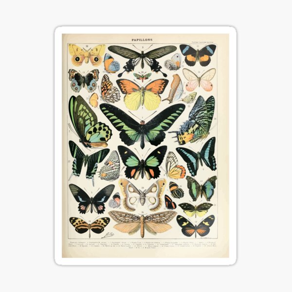 Adolphe Millot papillons B Sticker