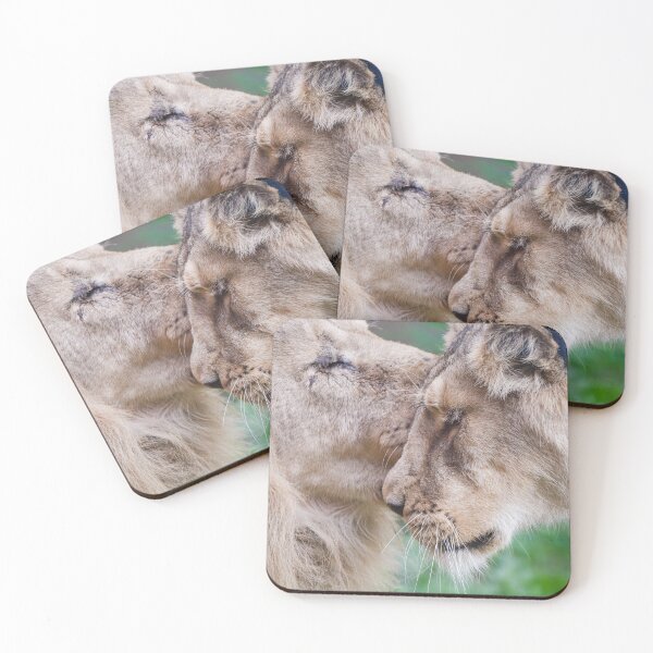 Item preview, Lions designed and sold by photobytableau.