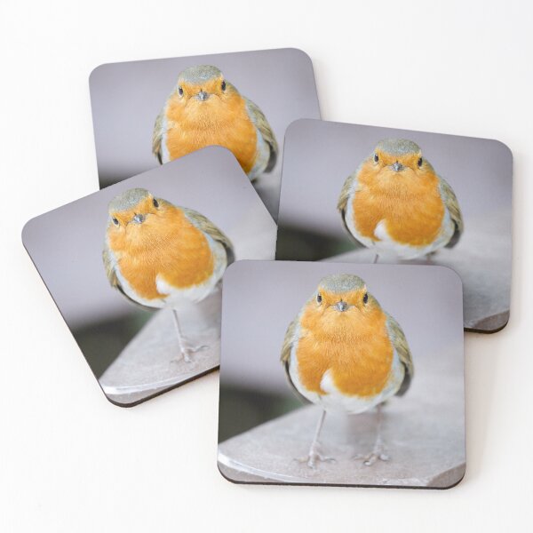 Item preview, Robin designed and sold by photobytableau.