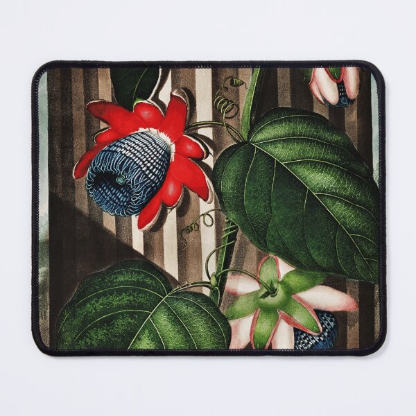 Item preview, Passion Flower - The Winged Passion-Flower designed and sold by SEEMUELLER.