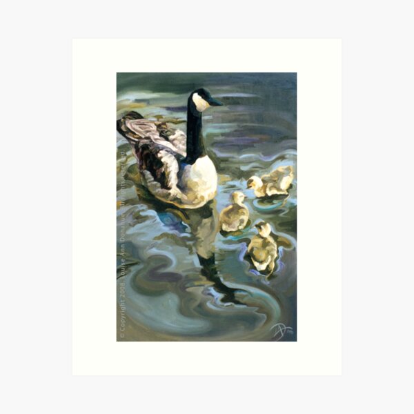 Canada Geese Art Print
