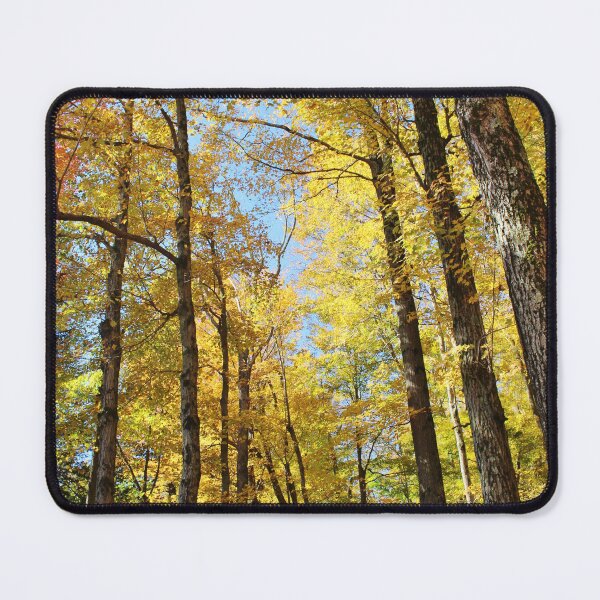 Item preview, Autumn sun through the trees designed and sold by croper.