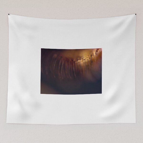Item preview, Fly Eyelash designed and sold by Microscope-Art.