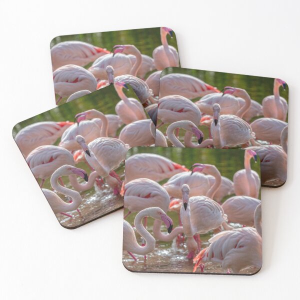 Item preview, Flamingos in the Sunshine designed and sold by derekbeattie.