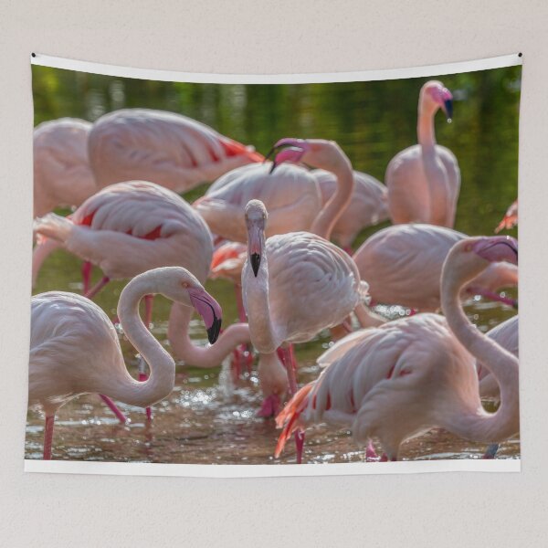 Item preview, Flamingos in the Sunshine designed and sold by derekbeattie.
