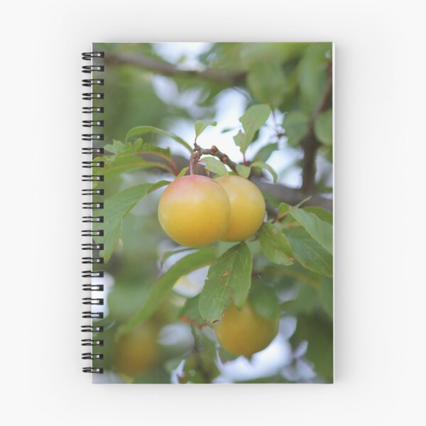 Item preview, yellow plum designed and sold by AHELENE.