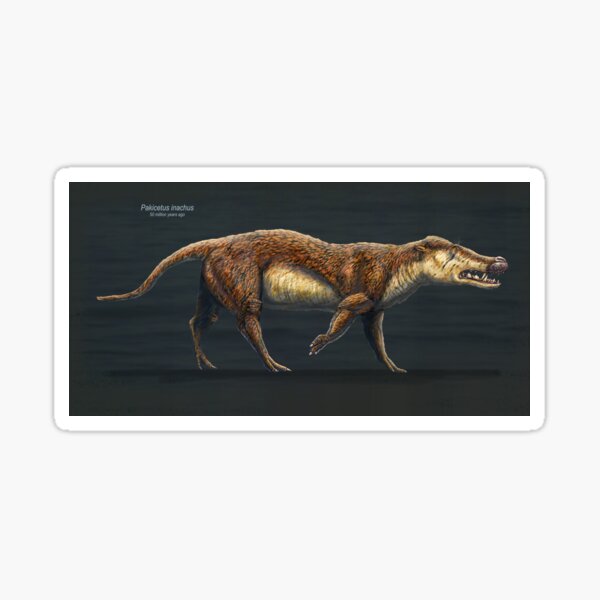 Pakicetus Inachus Restored Sticker