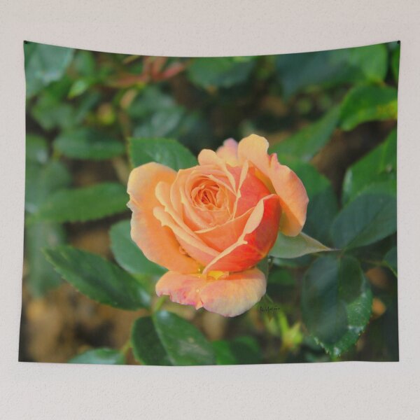 Item preview, Rose the designed and sold by AHELENE.