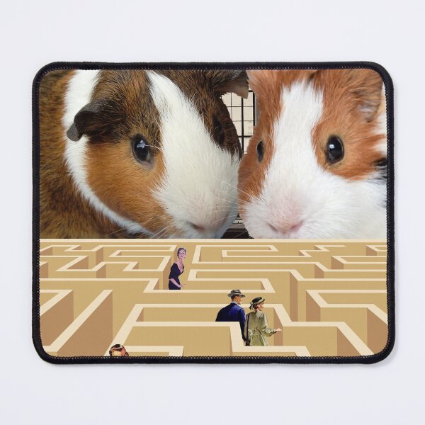 Item preview, Absurd Guinea Pig Labyrinth  designed and sold by GrayHareCards.