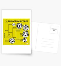 Primate Family Tree Postcards