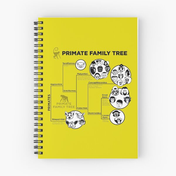 Item preview, Primate Family Tree designed and sold by Peppermint Narwhal.