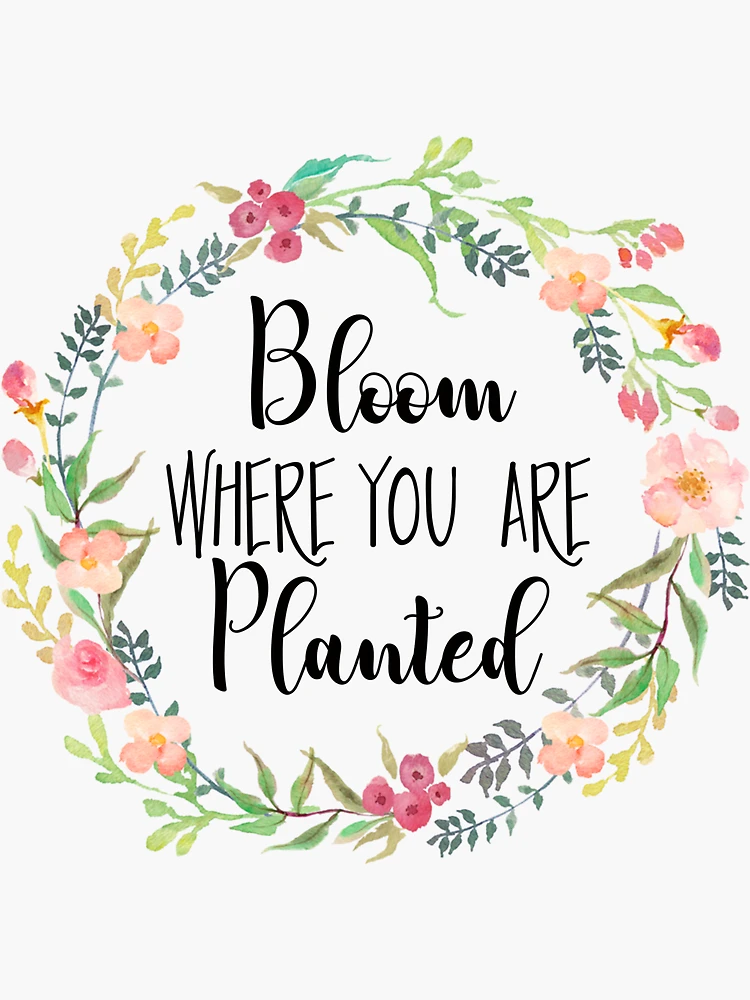 Bloom Where You Are Planted Sticker - Barn Owl Primitives