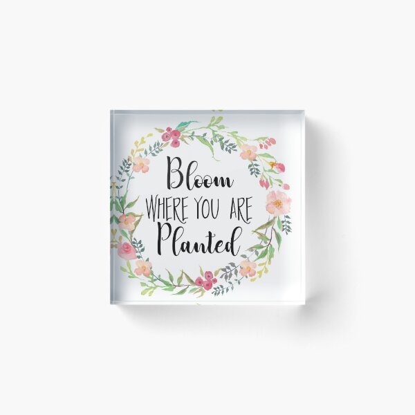 Bloom Where You Are Planted. Acrylic Block