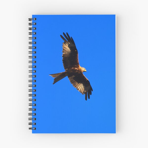 Item preview, Red Kite designed and sold by days-photographic.