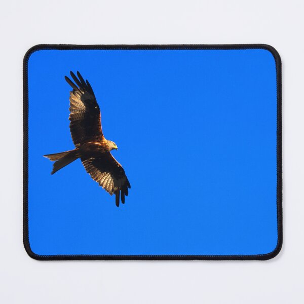 Item preview, Red Kite designed and sold by days-photographic.