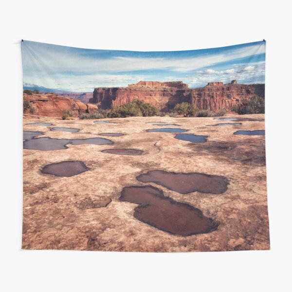 High desert Tapestry