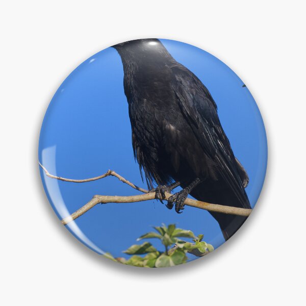 Item preview, Crow designed and sold by days-photographic.