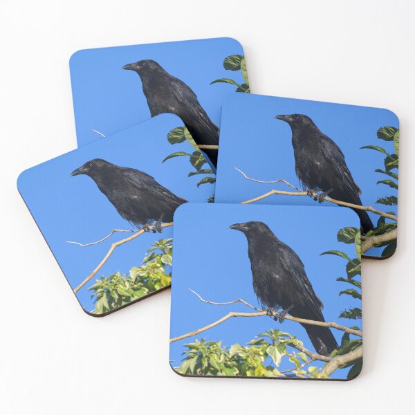 Item preview, Crow designed and sold by days-photographic.