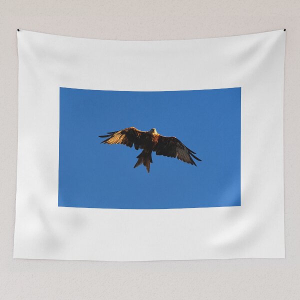 Item preview, Red Kite designed and sold by days-photographic.
