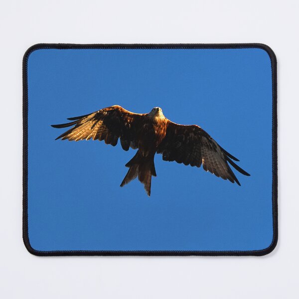 Item preview, Red Kite designed and sold by days-photographic.