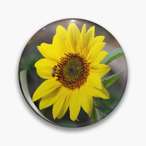 Item preview, Sunflower and friend designed and sold by days-photographic.