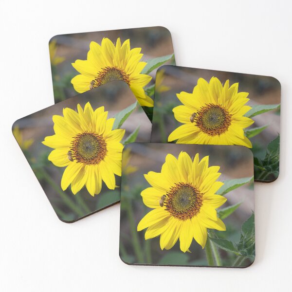 Item preview, Sunflower and friend designed and sold by days-photographic.