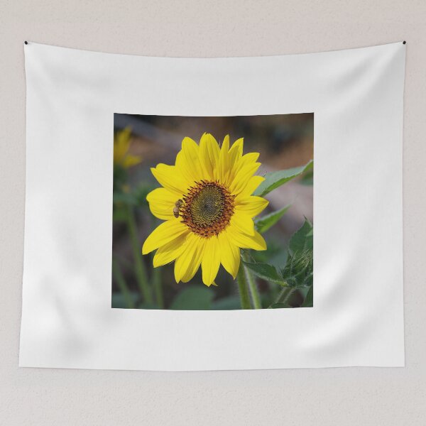 Item preview, Sunflower and friend designed and sold by days-photographic.