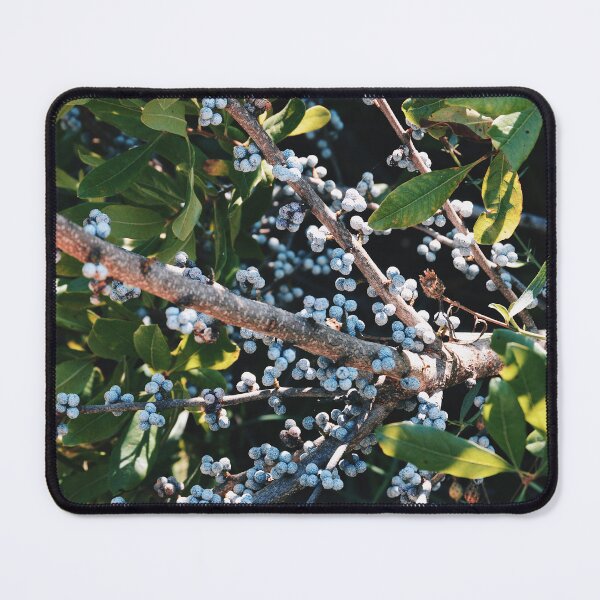 Item preview, Bae-Berry designed and sold by Tessia Photography.