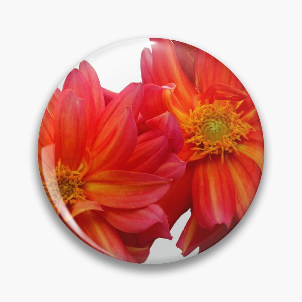 Item preview, Two red dahlias designed and sold by Maxiverse.