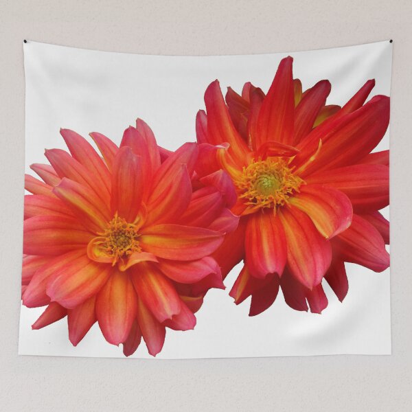 Item preview, Two red dahlias designed and sold by Maxiverse.