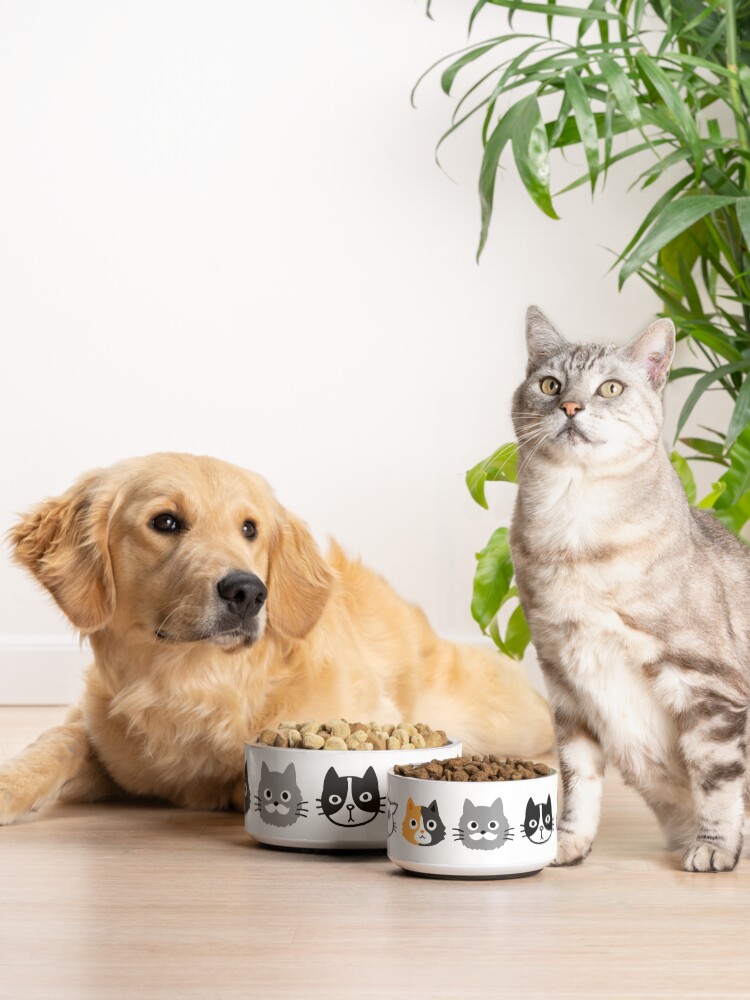 Alternate view of Assorted Cat Faces | Cute Quirky Kitty Cat Drawings Pet Bowl