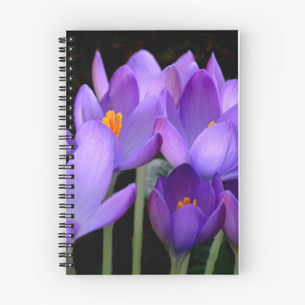 Item preview, Crocus. Dorset UK designed and sold by lynn carter.