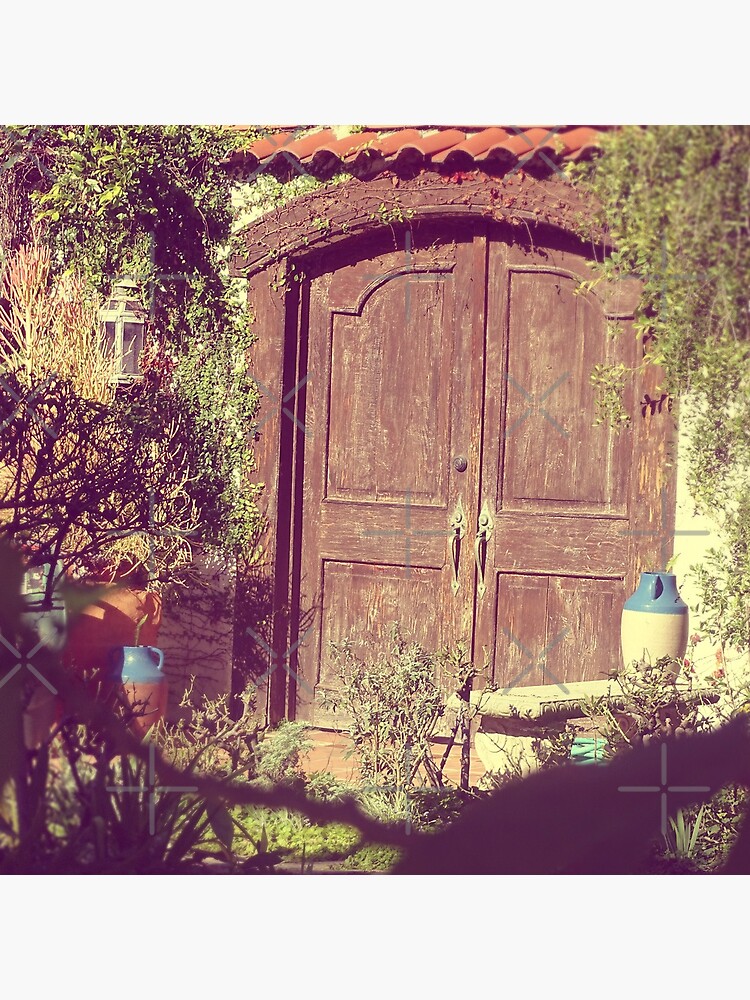 Brown door, Rustic door by PicsByMi