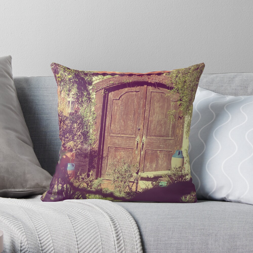 Brown door, Rustic door Throw Pillow