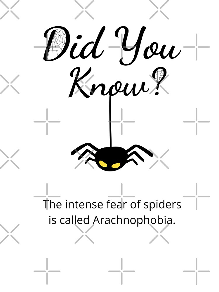 Funny Fun Facts | Fun Facts To Share | Useless information | Spider Fun Fact