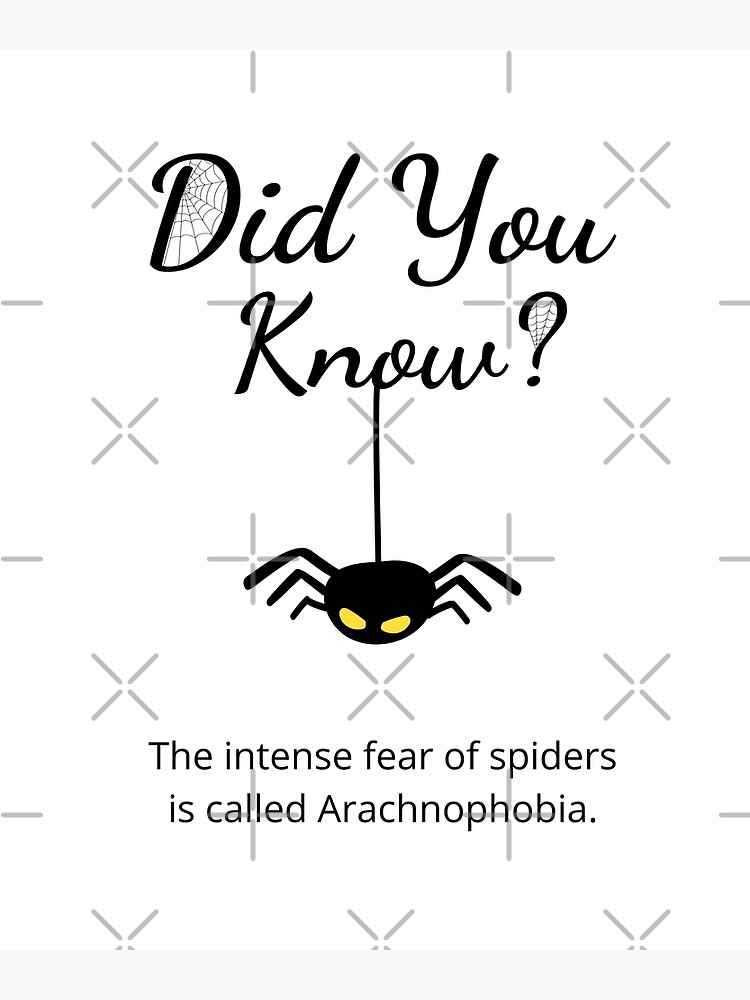  Funny Fun Facts Fun Facts To Share Useless Information Spider
