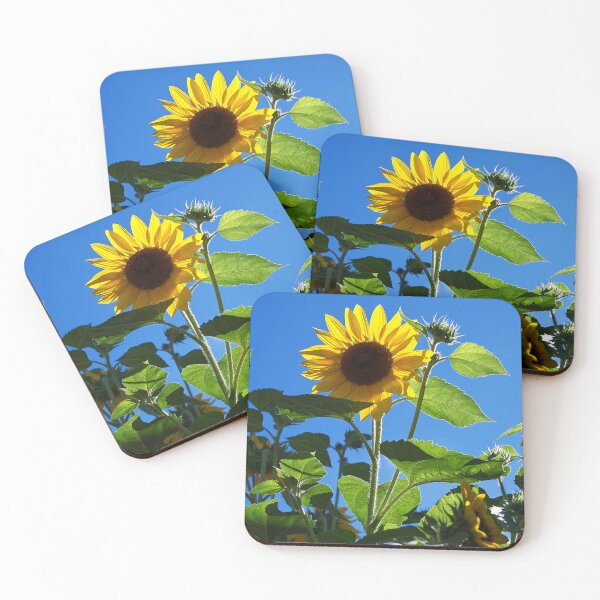 Item preview, Sunflowers in my garden designed and sold by days-photographic.
