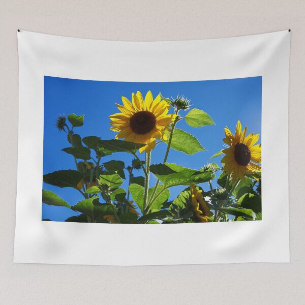 Item preview, Sunflowers in my garden designed and sold by days-photographic.