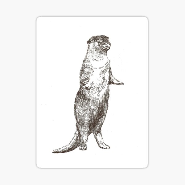 Otter Sticker