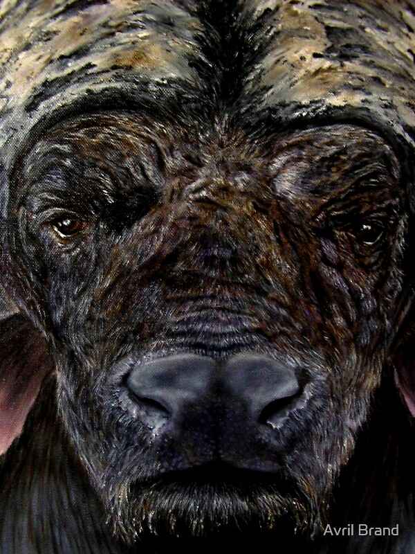 Face A Cape Buffalo Oil Painting By Avril Brand Redbubble   Flat,800x800,075,f 