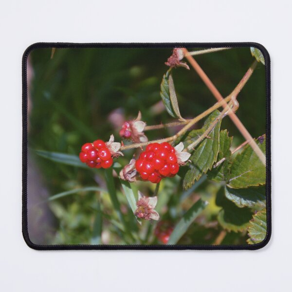 Item preview, Berry Sweet designed and sold by Tessia Photography.