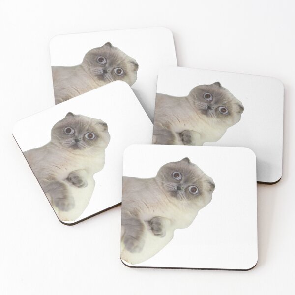 Item preview, Cat staring meme funny  designed and sold by Sydscriv.