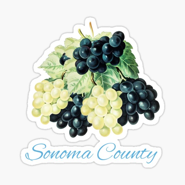 Artikel-Vorschau von Sonoma County, Kalifornien, designt und verkauft von Destination88.