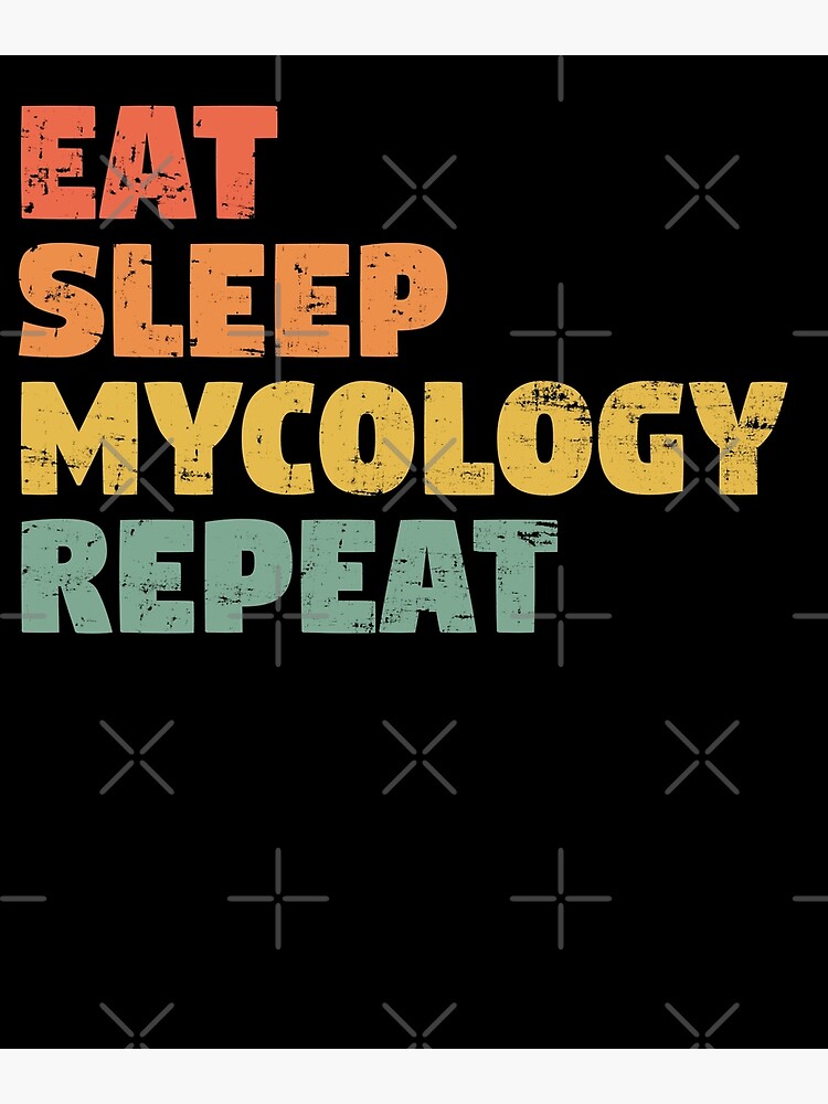 Disover Eat Sleep Mycology Repeat, Gift for Mycology Lovers Premium Matte Vertical Poster