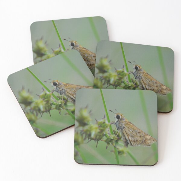 Item preview, Perched designed and sold by aquaalgiaart.