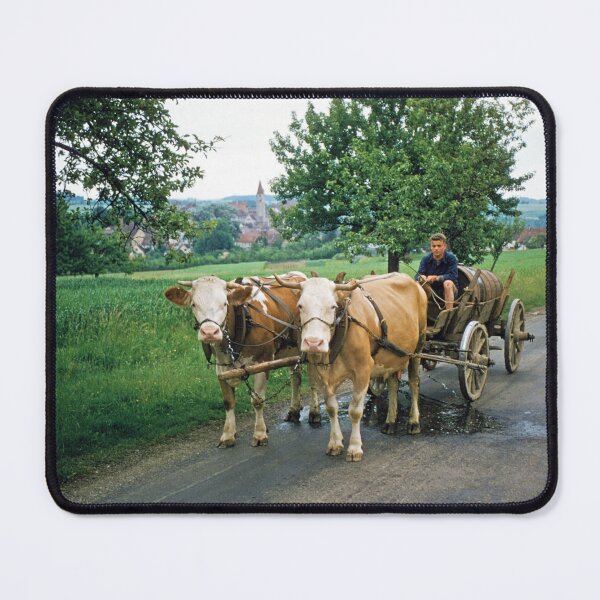 Item preview, 1950s - German Countryside with a Man on an Ox Cart, Germany designed and sold by thatwaslife.