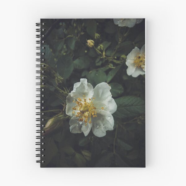 Item preview, Flower Rain designed and sold by LNC-PHOTOGRAPHY.